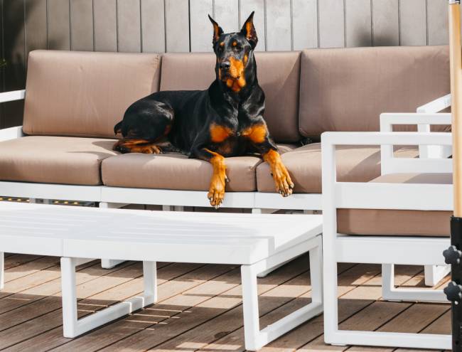 Комплект пластиковой мебели Mykonos XL белый, светло-коричневый