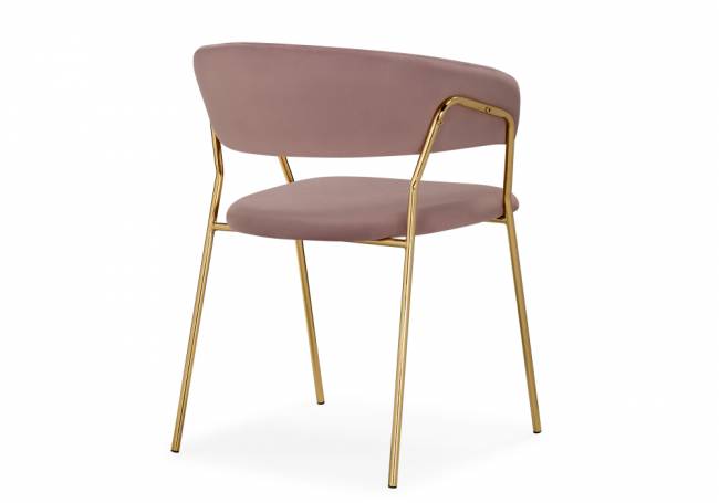 Kamelia 1 light purple /gold