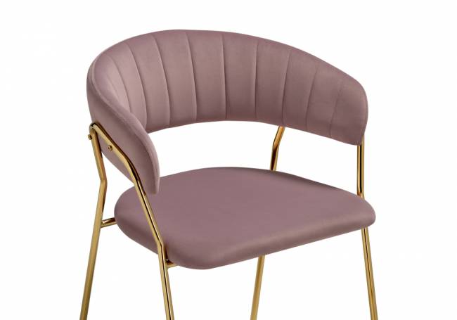 Kamelia 1 light purple /gold