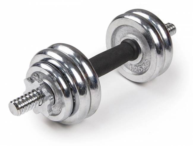 Набор гантелей хромированных "Atlas Sport" в чемодане 20 кг Набор гантелей хромированных "Atlas Sport" в чемодане 20 кг